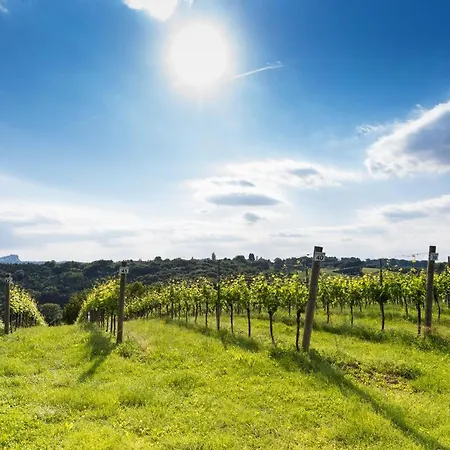Lejlighed Himmlisch Urlauben Söchau